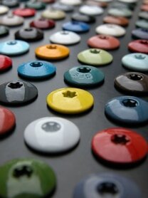 Kleurkop schroef RVS Torx T20 x 60mm lengte.